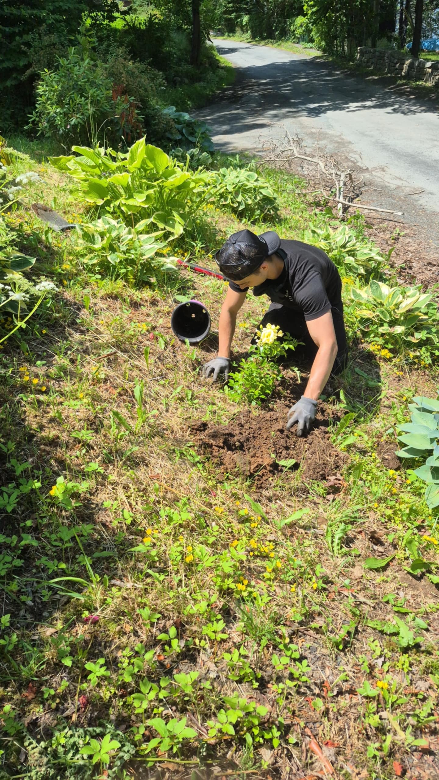 Brady Macdonald, head landscaper at A.M Landscape, planting flowers in a backyard garden